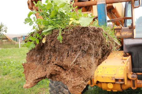 detruire les couverts végétaux